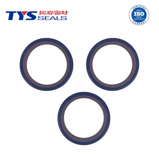Hydraulic Cylinder Sealing Solution