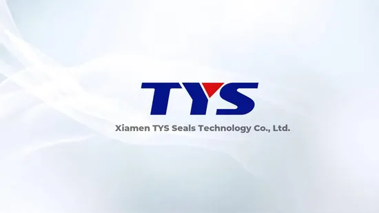 Hydraulic Cylinder Sealing Solution