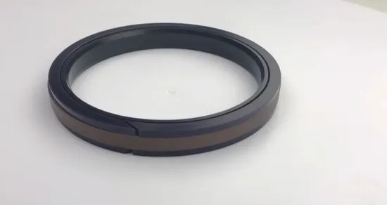 Versatile Spgw Seals: Effective Fluid and Gas Sealing Solutions for Diverse Industries 